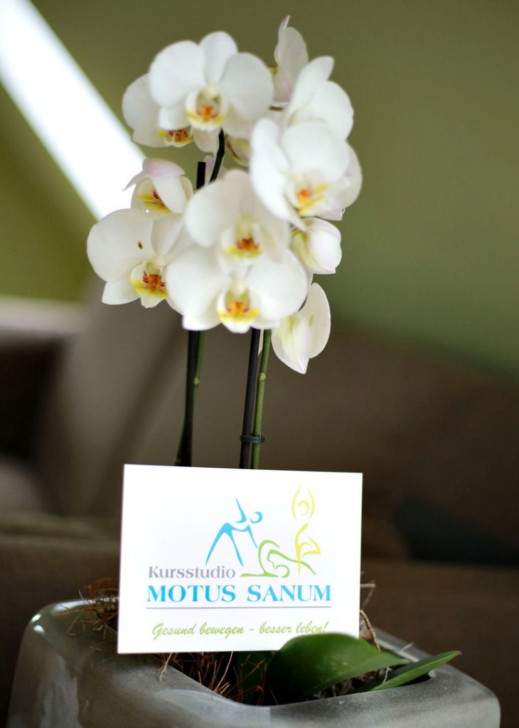 Kursstudio Motus Sanum Orchideen und Kursstudio-Schild